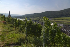 Weingut Selbach Oster: Zeltingen-Rachtig, Germania 2016