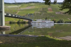Weingut Wehlener-Sonnenuhr: Germania 2016