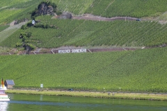 Weingut Wehlener-Sonnenuhr: Germania 2016