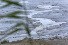 G_P7A0467_97_150
