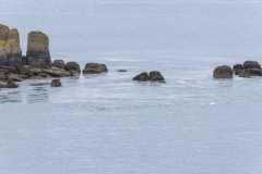 G_P7A2776_97_150