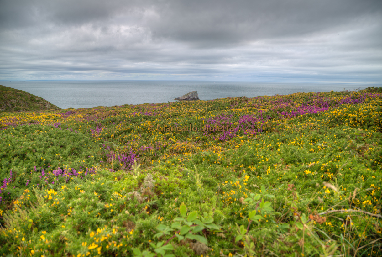 3° tappa a Cap Frehel – Plèvenon – Bretagna 2015